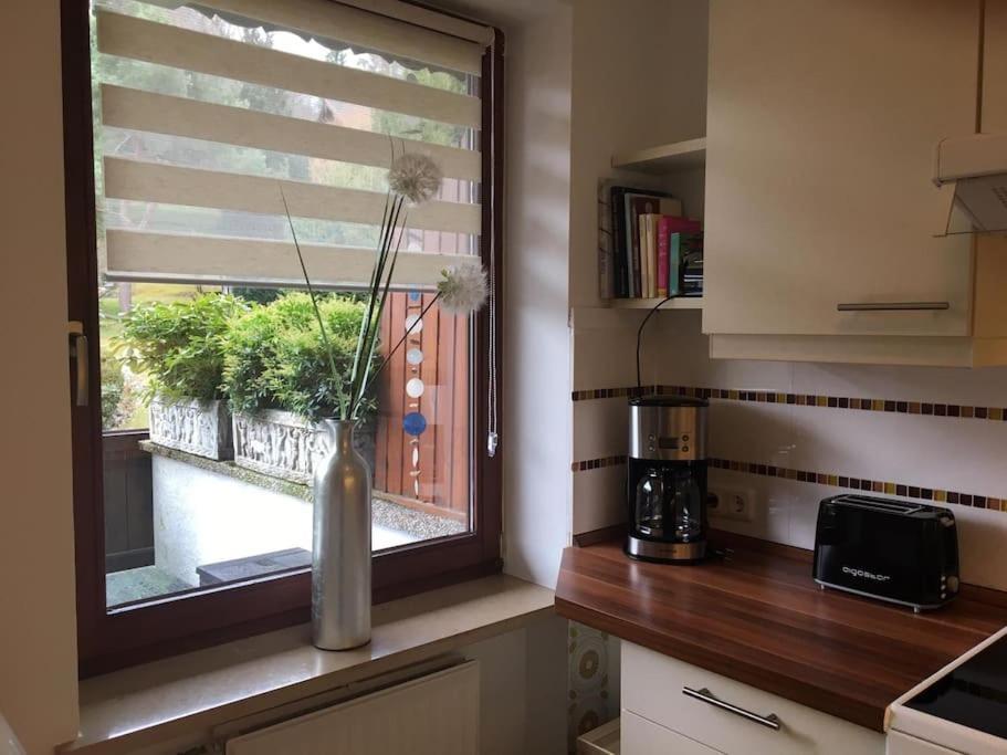 Wohnung Direkt Am Tegernsee Mit Xl-Terrasse Gmund am Tegernsee Exteriör bild